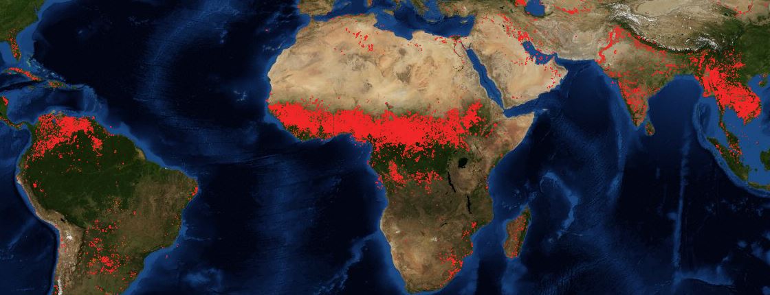 Forest fire in maps